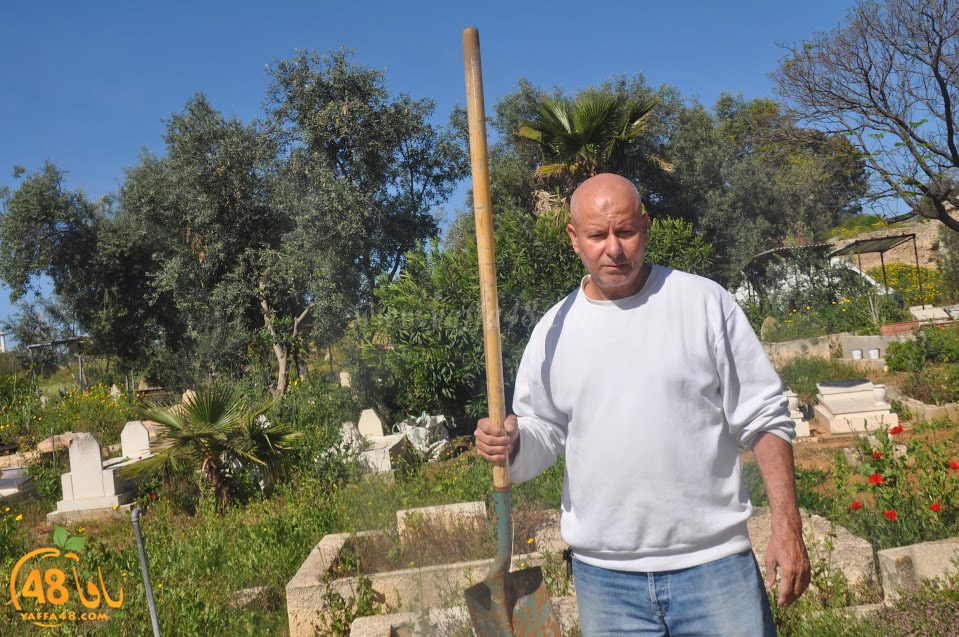 tasohamlalanjna (47).jpg